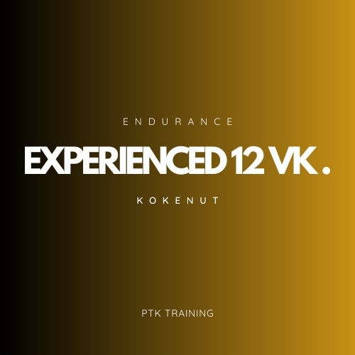 EXPERIENCED - Endurance program 12 weeks